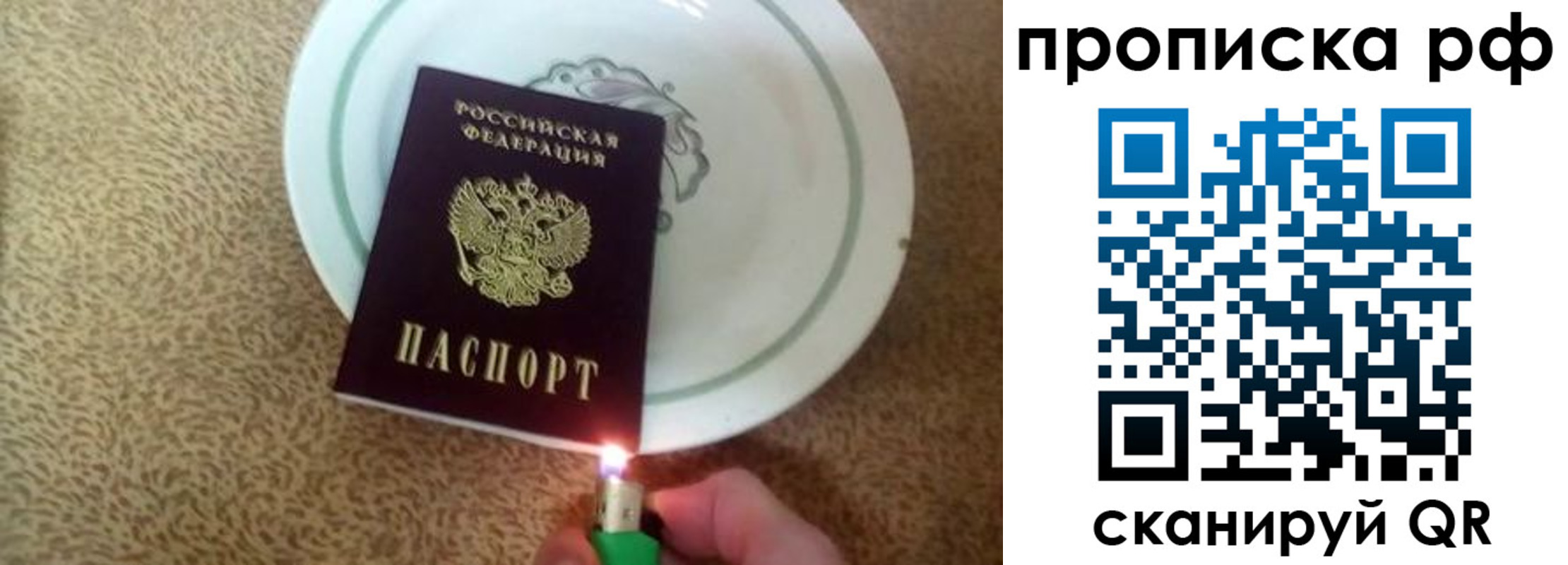прописка в квартире в Ртищево